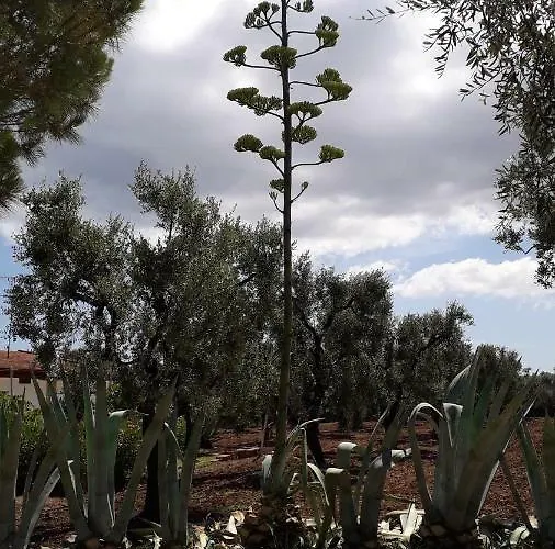 Casa vacanze Casa Mia