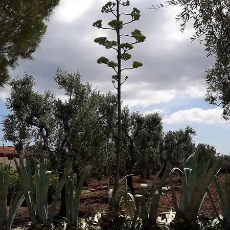 Casa de Férias Casa Mia